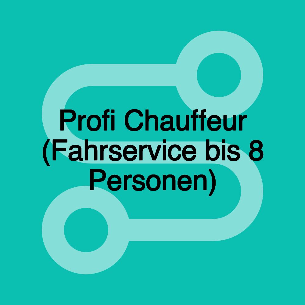 Profi Chauffeur (Fahrservice bis 8 Personen)