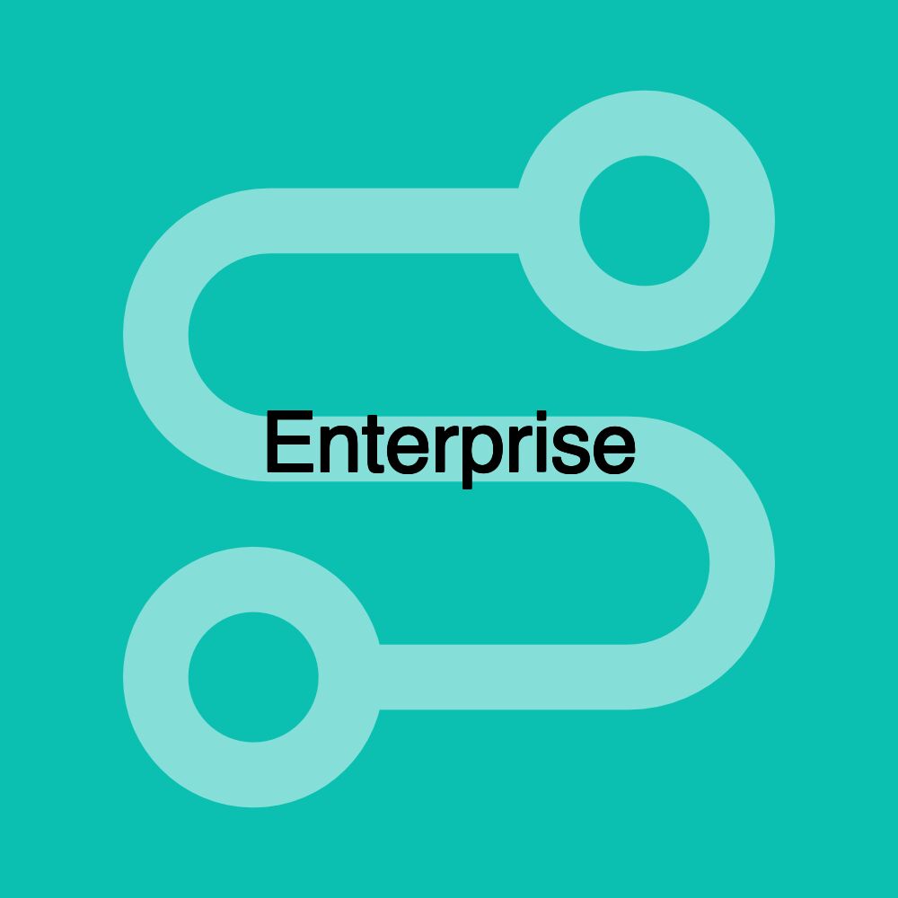 Enterprise