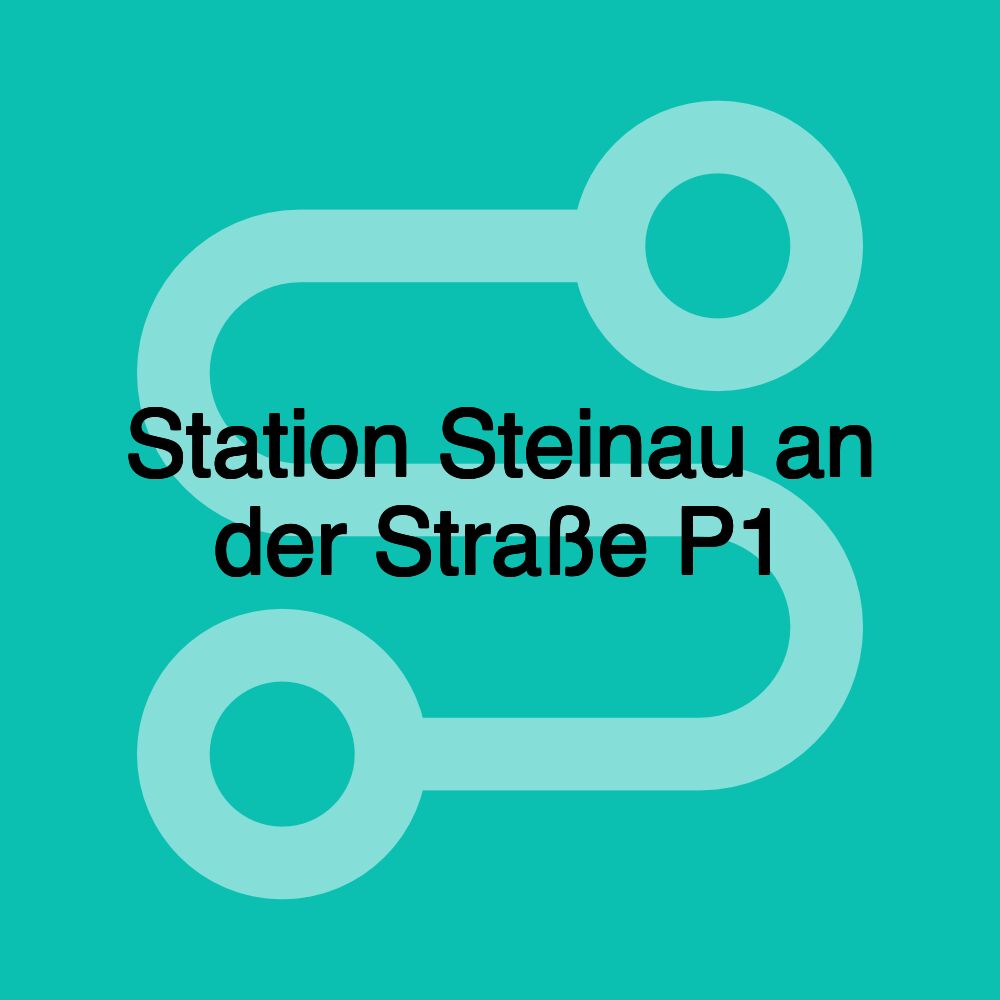 Station Steinau an der Straße P1