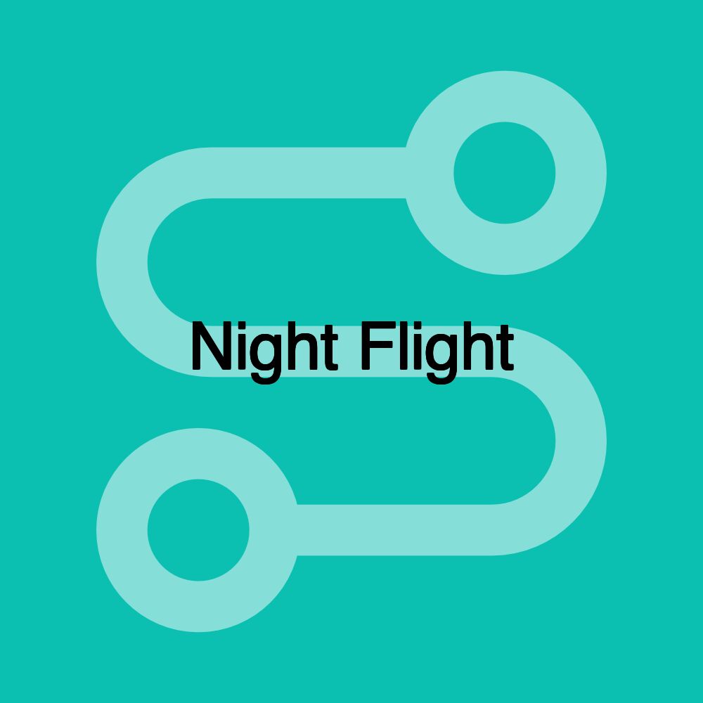 Night Flight