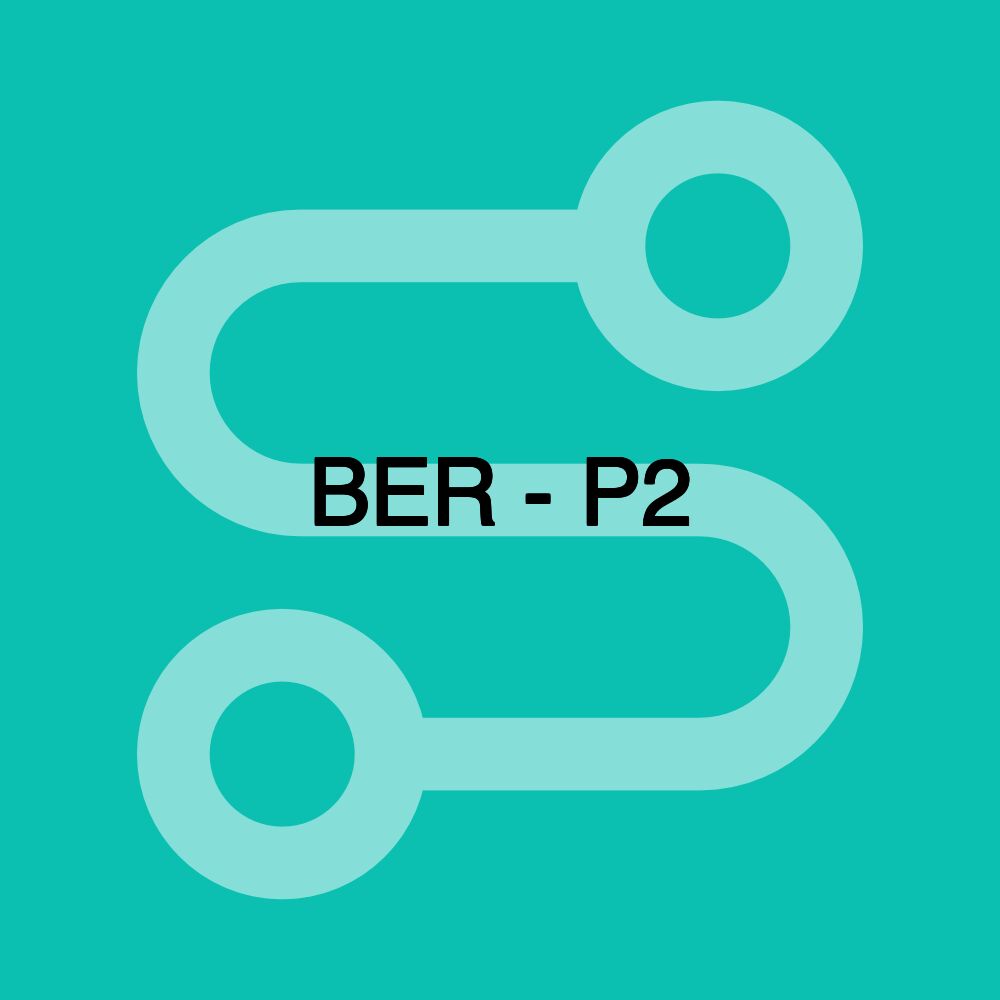 BER - P2