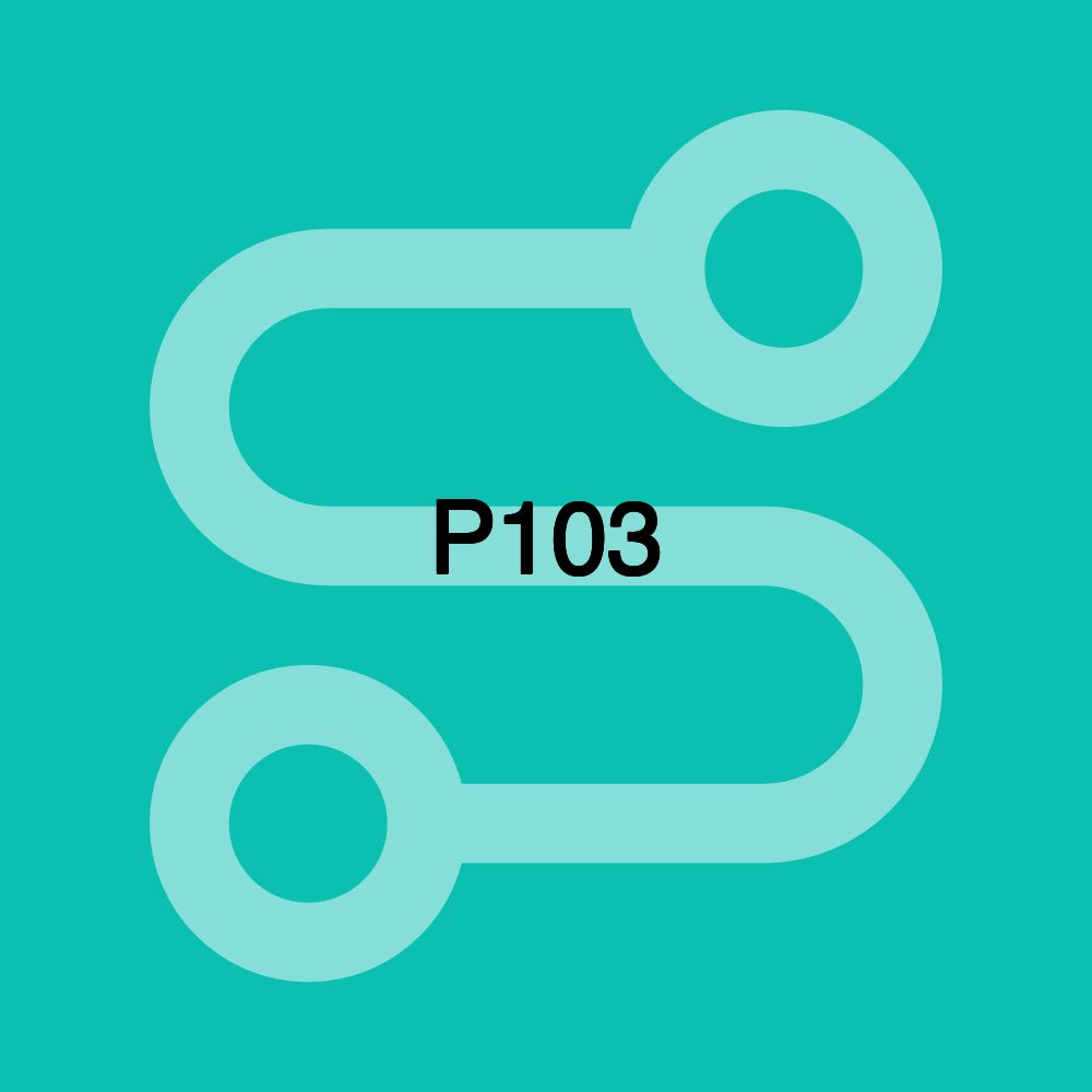 P103