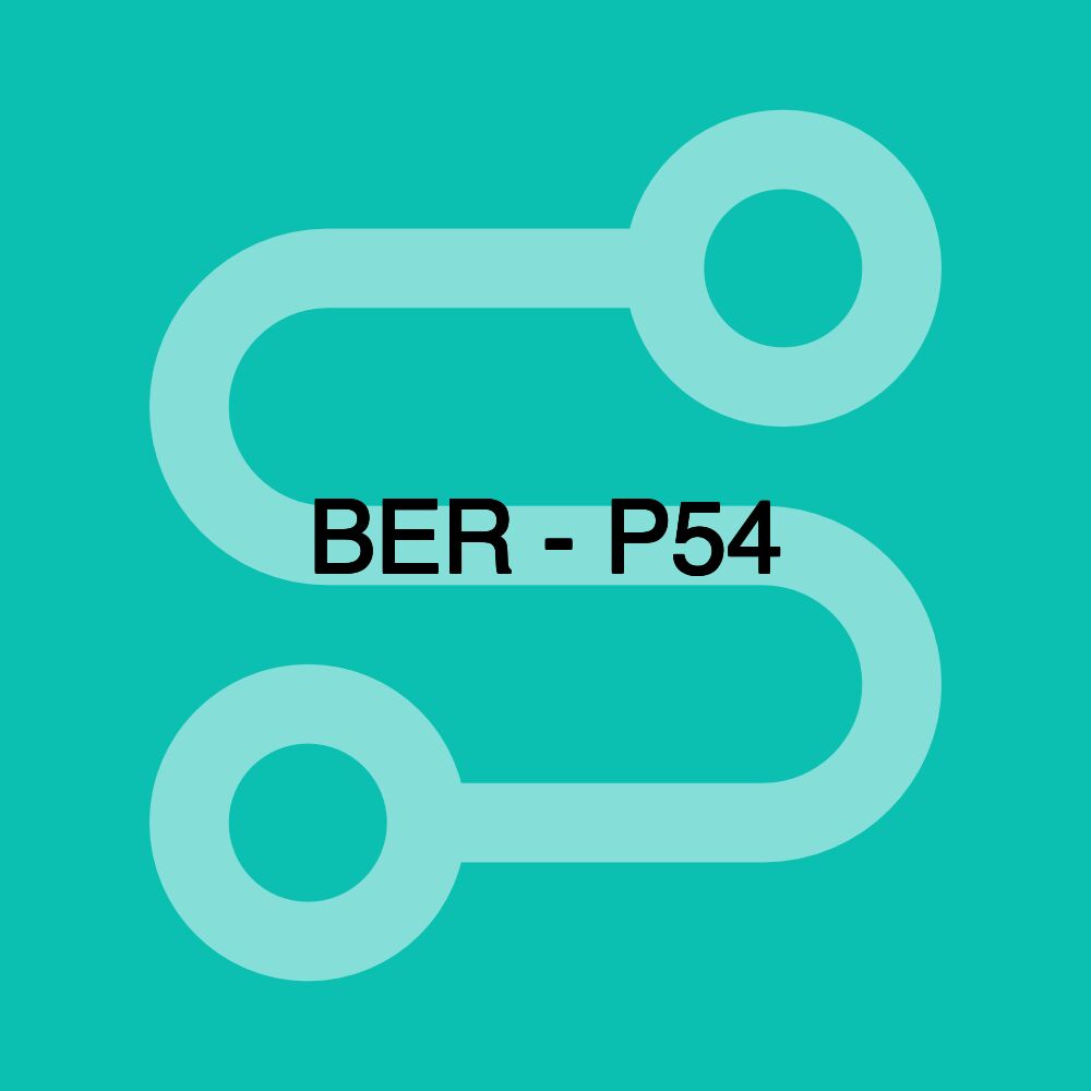 BER - P54